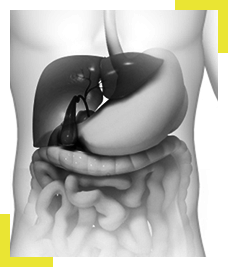 Gallbladder Surgery